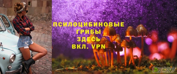 прущие грибы Баксан