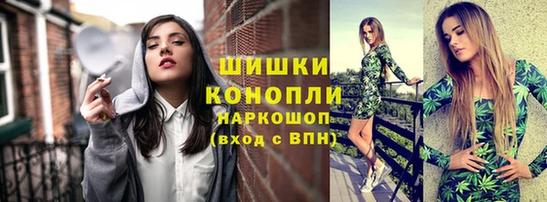 прущие грибы Баксан