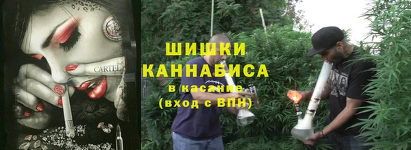 сатива Балабаново